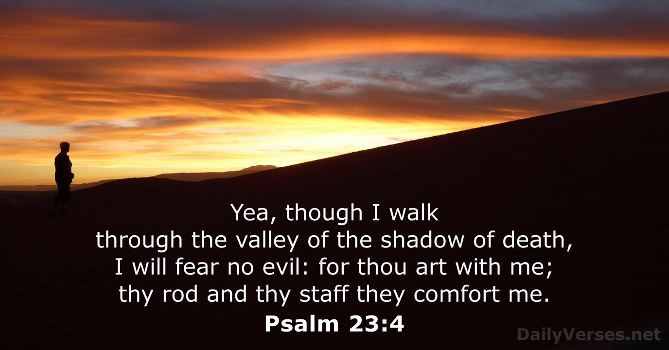 February 23 2022 Bible Verse Of The Day KJV Psalm 23 4 