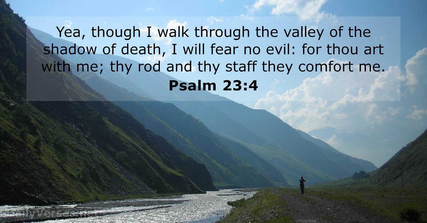 Psalm 23:4 - KJV - Bible verse of the day - DailyVerses.net