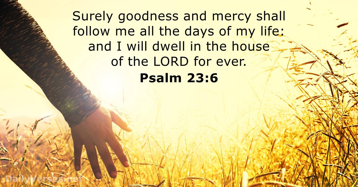Psalm 23 6 ESV Bible Verse Of The Day DailyVerses