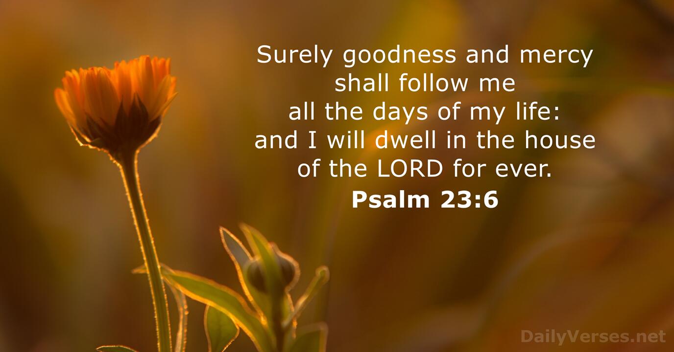 Psalm 23 6 Bible Verse KJV DailyVerses