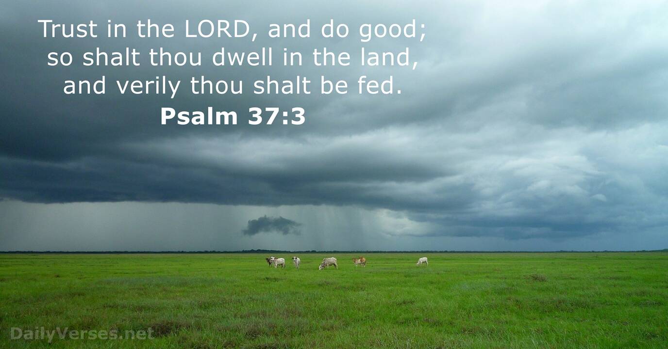 Psalm 37 3 Kjv