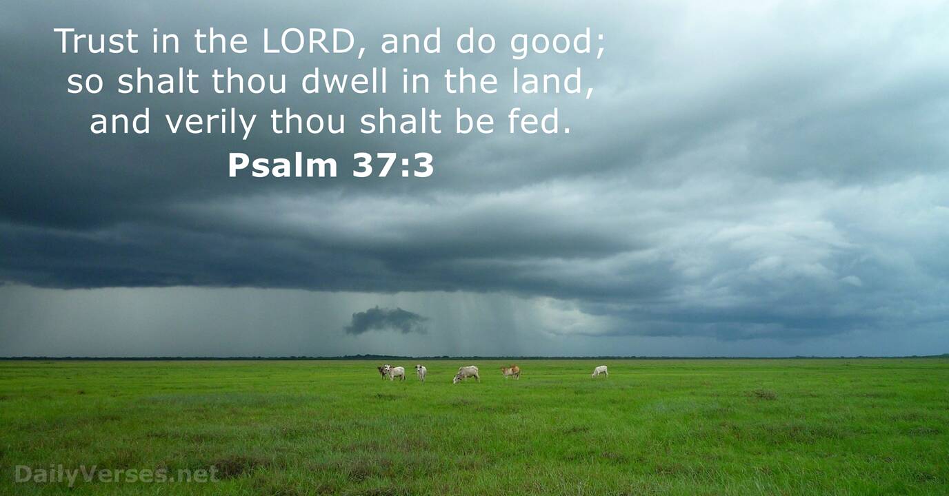 Psalm 37 3 ESV Bible Verse Of The Day DailyVerses