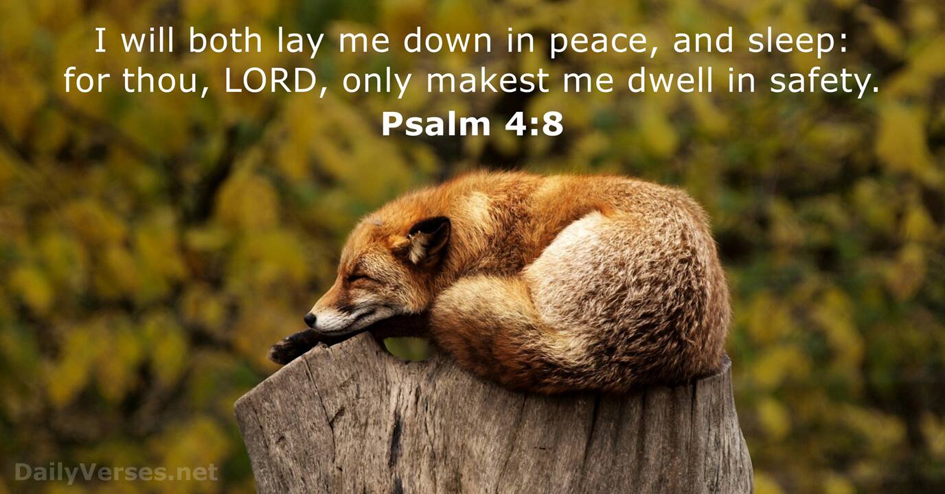 Psalm 4 8 Bible Verse KJV DailyVerses