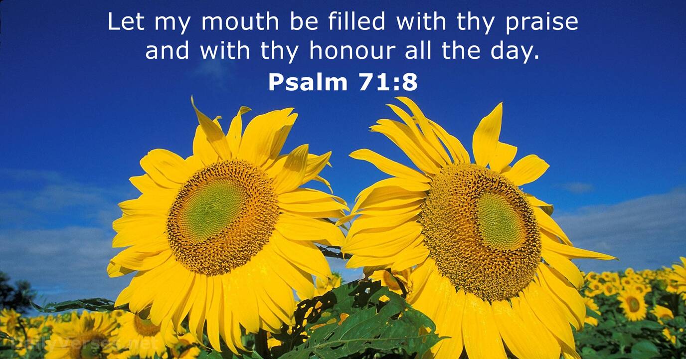 Psalm 71 Message Bible