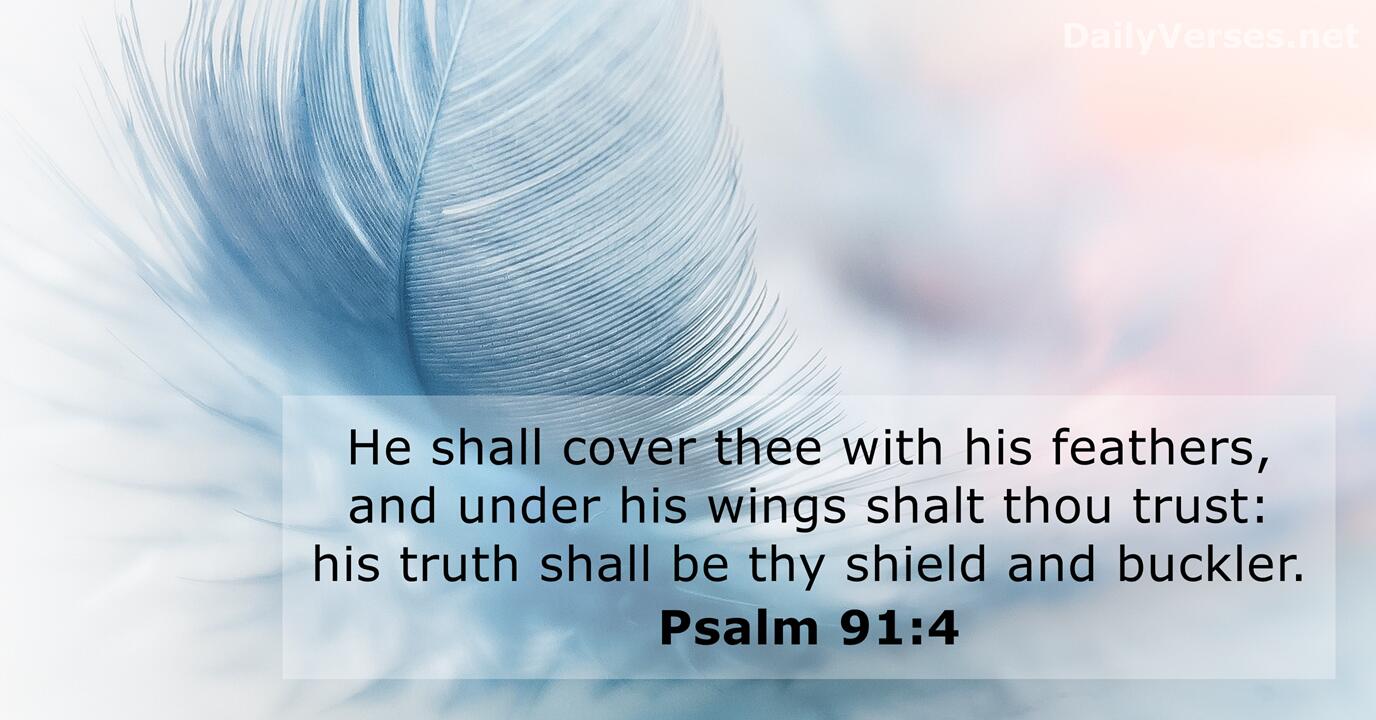 Psalm 91:4 - Bible verse (KJV) - DailyVerses.net