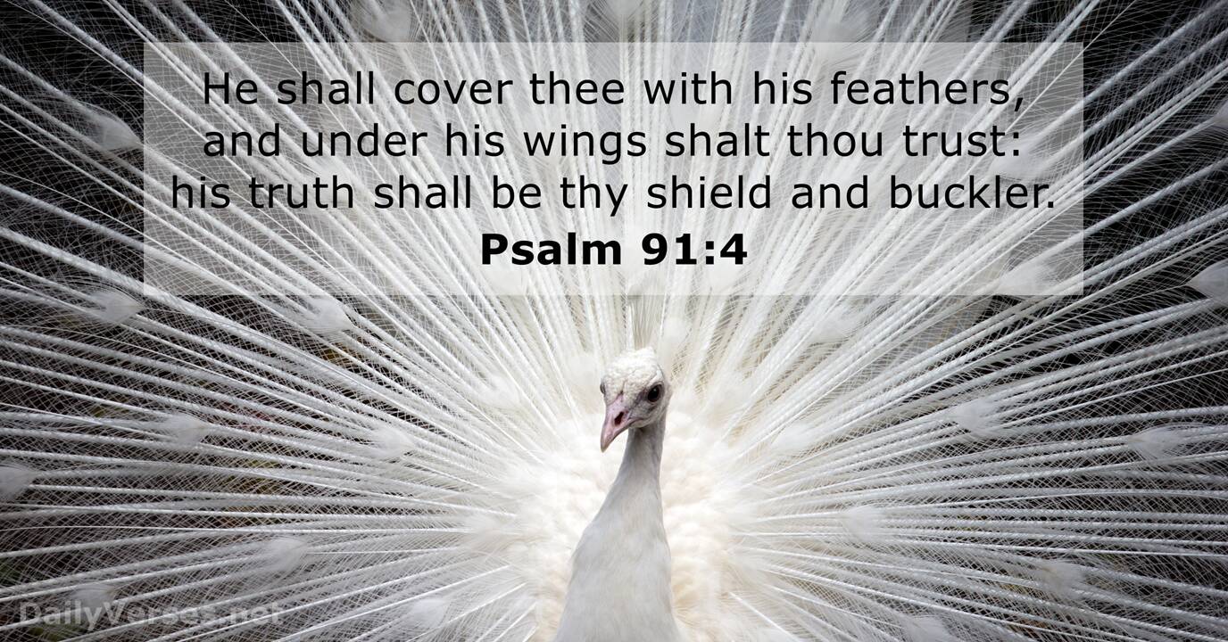 Psalm 914 Bible verse (KJV)