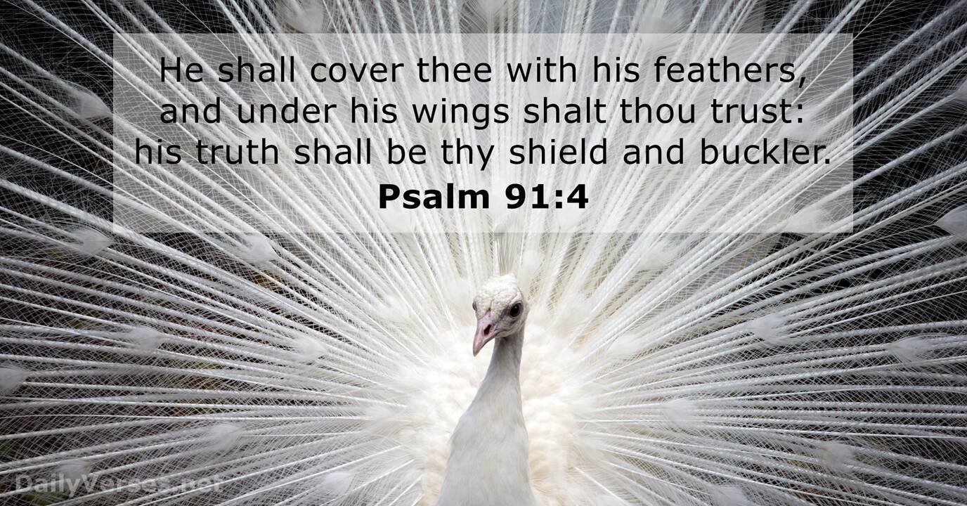August 8 2017 Bible Verse Of The Day KJV Psalm 91 4 