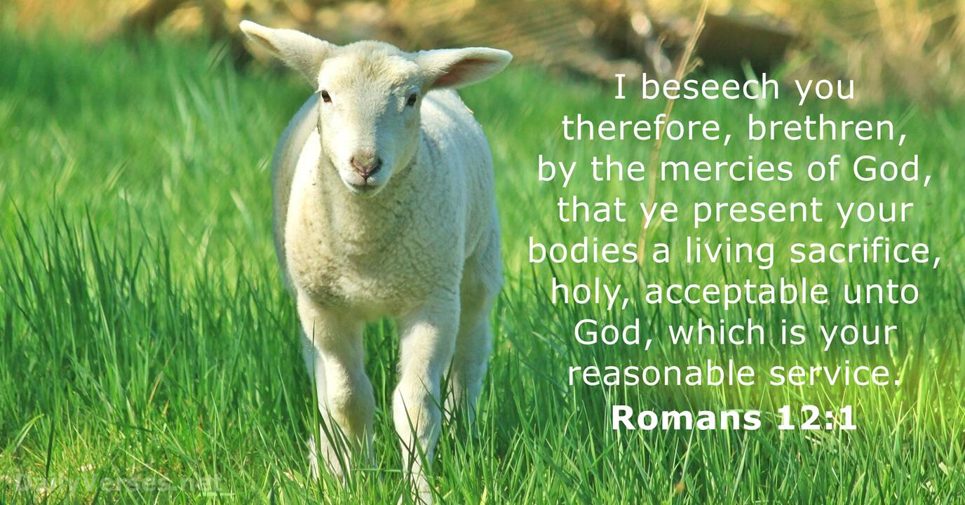 What does it mean to be a living sacrifice (Romans 12:1)?