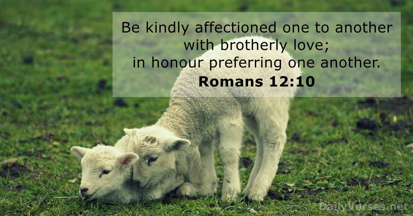 Romans 12 10 ESV Bible Verse Of The Day DailyVerses