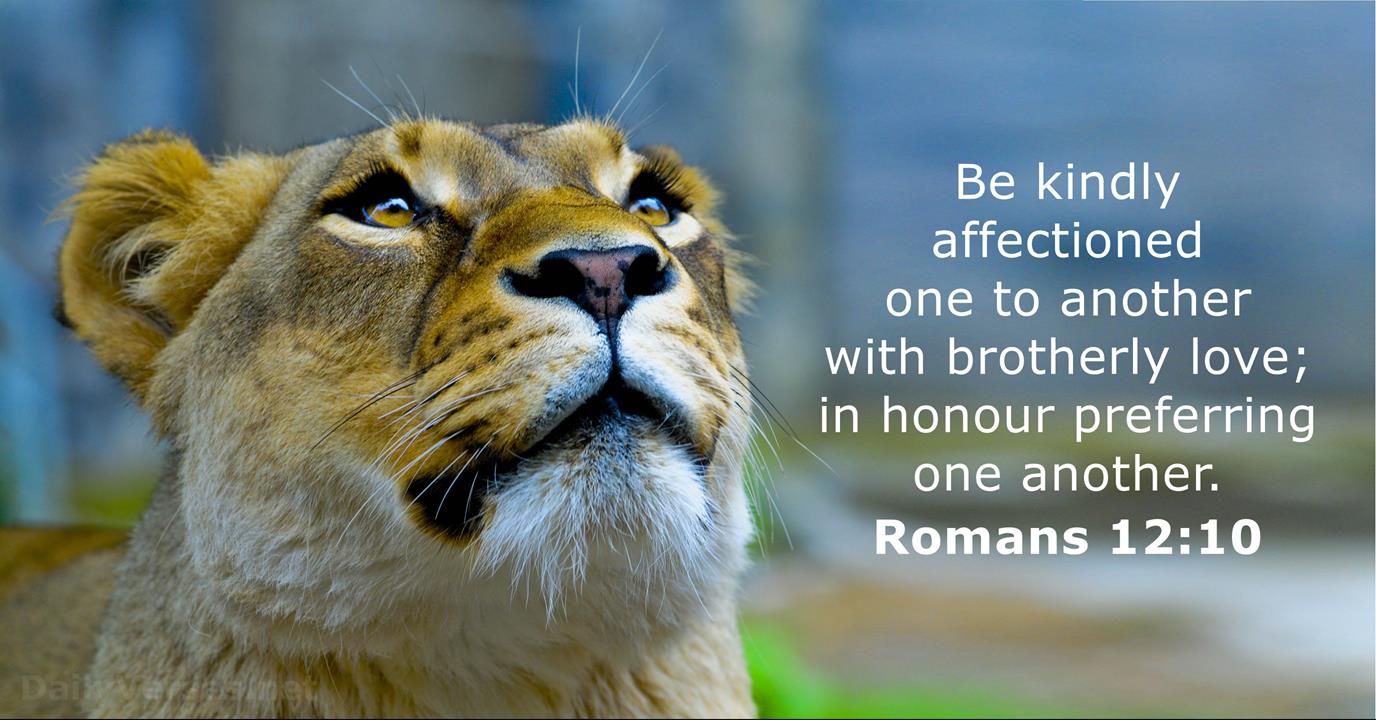 Romans 12 10 Images