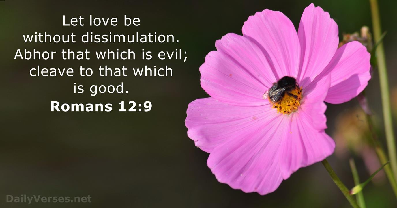 romans-12-9-esv-bible-verse-of-the-day-dailyverses