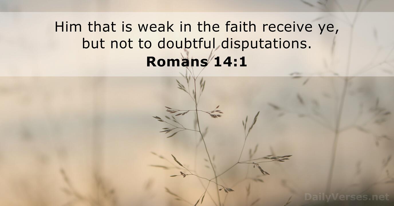 January 29 2022 Bible Verse Of The Day KJV Romans 14 1 