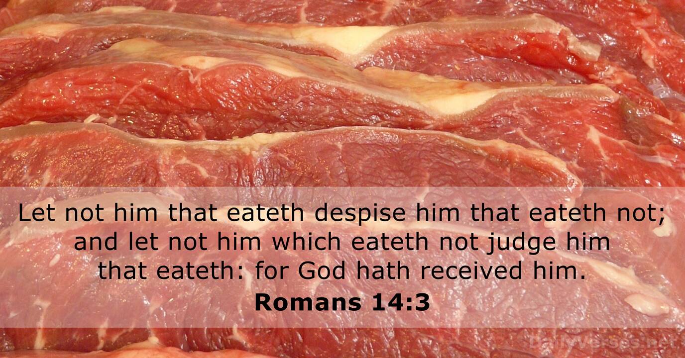 Romans 14 3 Bible Verse KJV DailyVerses