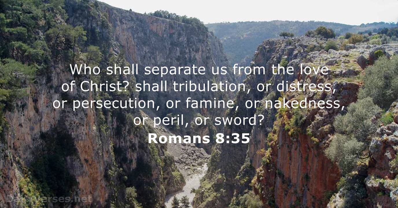 Romans 8 35 Bible Verse KJV DailyVerses