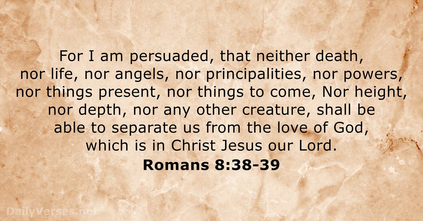 romans 8 kjv