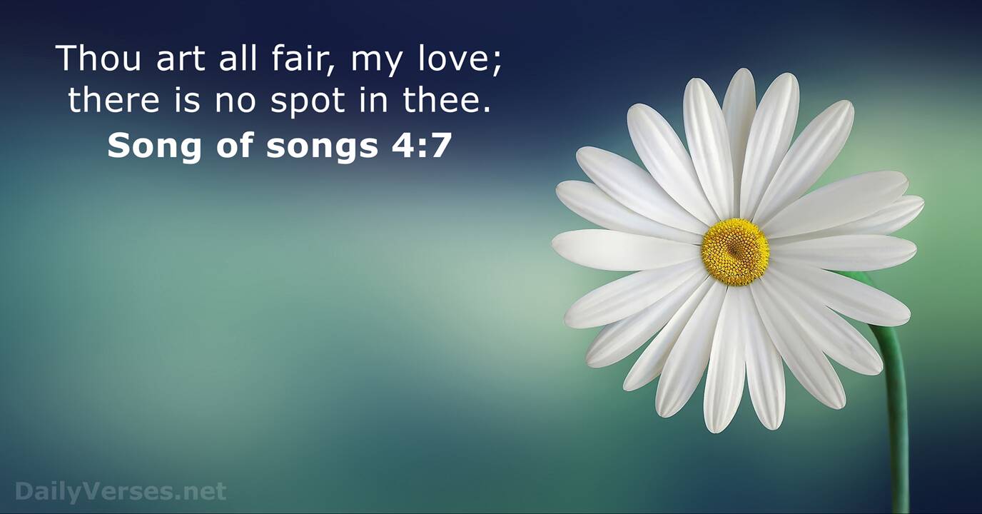 February 14 2022 Bible Verse Of The Day KJV Song Of Songs 4 7 