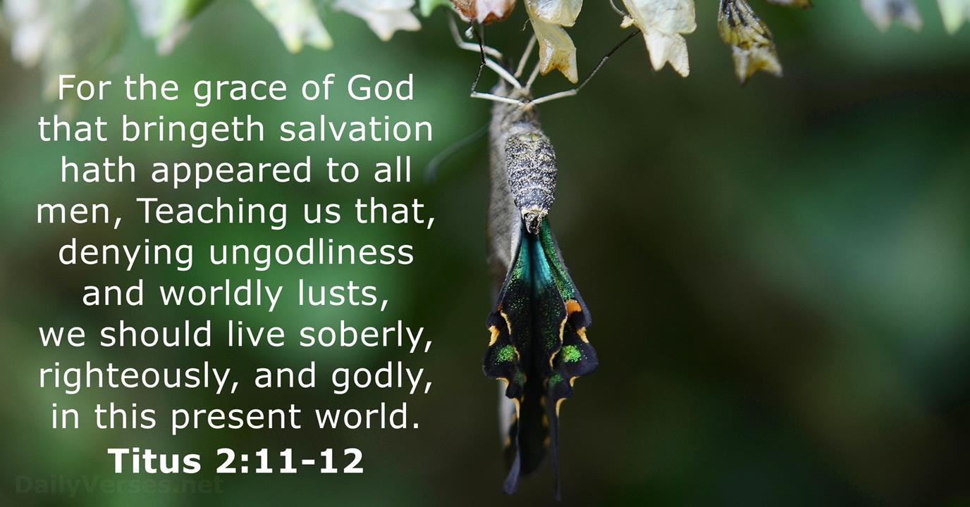 Titus 2:11-12 - KJV - Bible verse of the day - DailyVerses.net