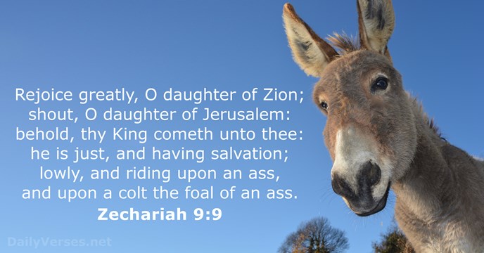 Zechariah 9:9