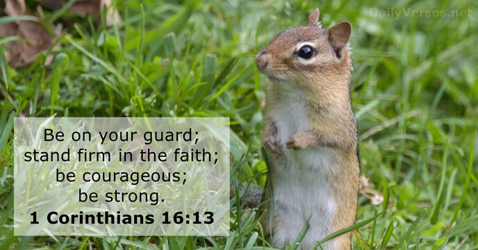Be on your guard; stand firm in the faith; be courageous; be strong. 1 Corinthians 16:13