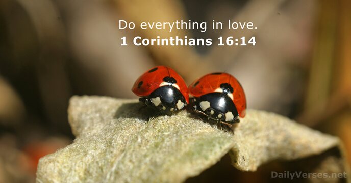 Do everything in love. 1 Corinthians 16:14