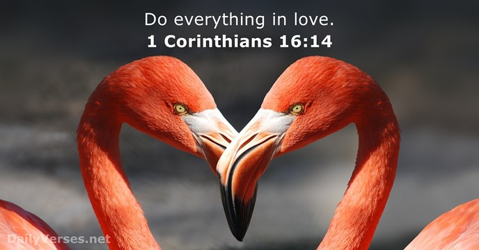 1 Corinthians 16:14