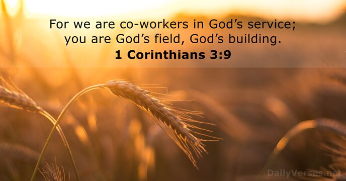 For we are co-workers in God’s service; you are God’s field, God’s building. 1 Corinthians 3:9