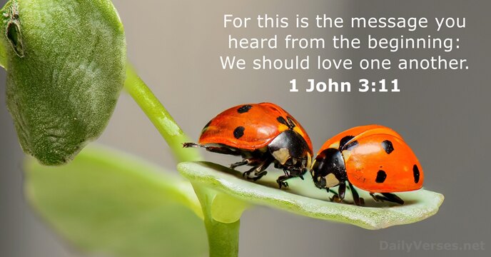 For this is the message you heard from the beginning: We should… 1 John 3:11