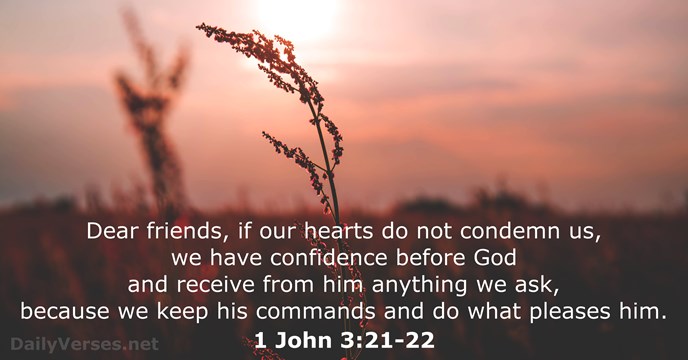 1 John 3 21 22 Bible Verse DailyVerses
