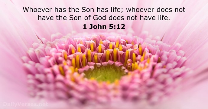 Whoever has the Son has life; whoever does not have the Son… 1 John 5:12