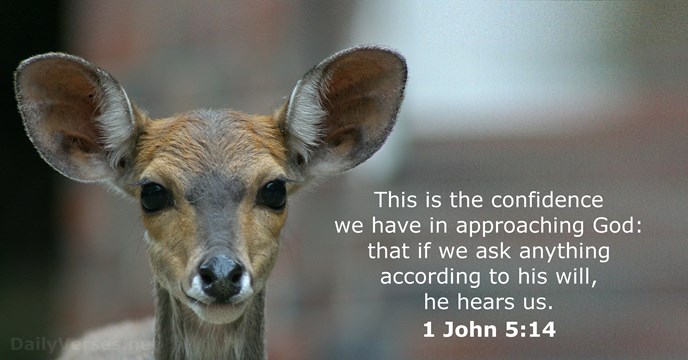 1 John 5:14