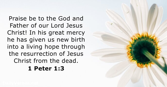 Praise be to the God and Father of our Lord Jesus Christ… 1 Peter 1:3
