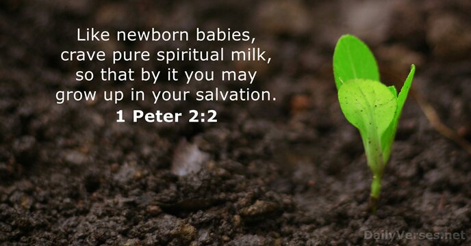 Like newborn babies, crave pure spiritual milk, so that by it you… 1 Peter 2:2