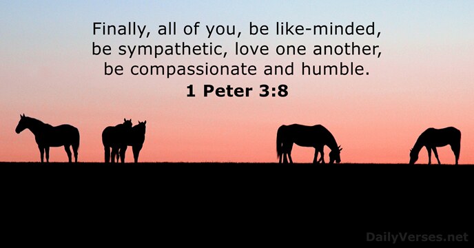 1 Peter 3:8 - Bible verse of the day - DailyVerses.net