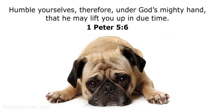 1 Peter 5:6