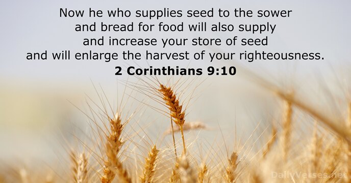 Now he who supplies seed to the sower and bread for food… 2 Corinthians 9:10