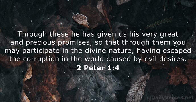 Through these he has given us his very great and precious promises… 2 Peter 1:4
