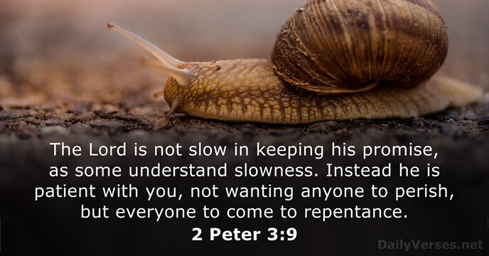 The Lord is not slow in keeping his promise, as some understand… 2 Peter 3:9