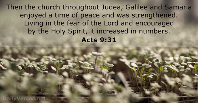 bible acts 9