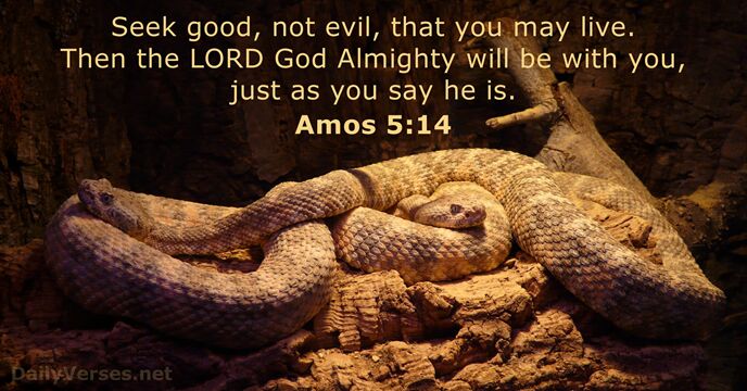 Amos 5:14