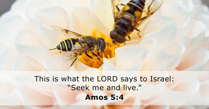 This is what the LORD says to Israel: “Seek me and live.” Amos 5:4