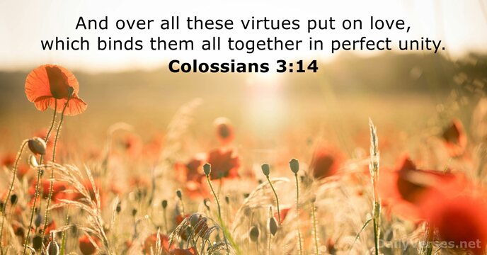 And over all these virtues put on love, which binds them all… Colossians 3:14