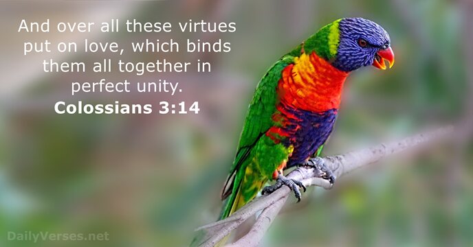 And over all these virtues put on love, which binds them all… Colossians 3:14