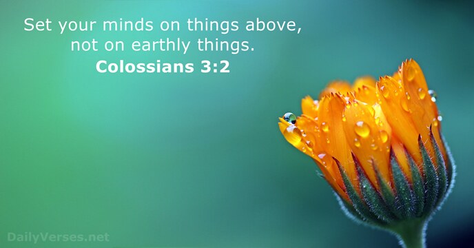 Set your minds on things above, not on earthly things. Colossians 3:2