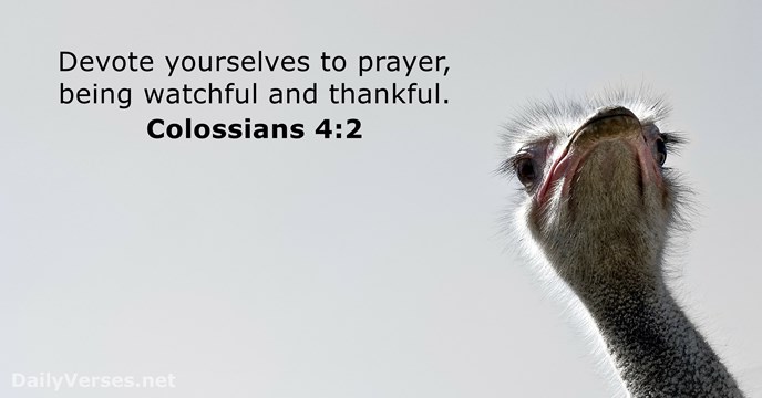 Devote yourselves to prayer, being watchful and thankful. Colossians 4:2