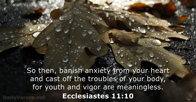 Ecclesiastes 11:10