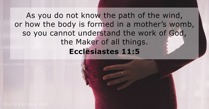 Ecclesiastes 11:5