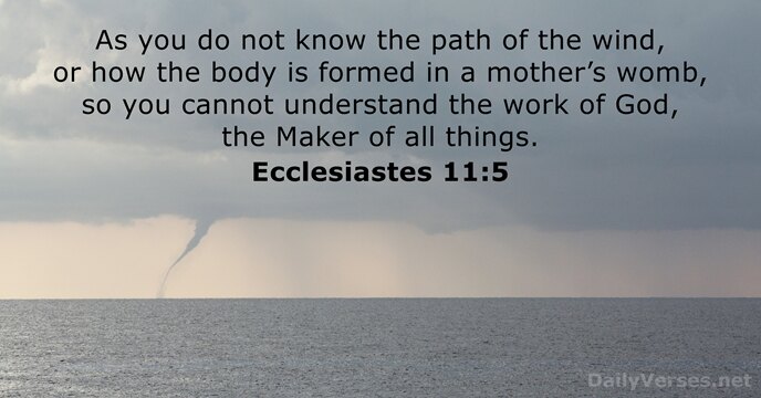 As you do not know the path of the wind, or how… Ecclesiastes 11:5