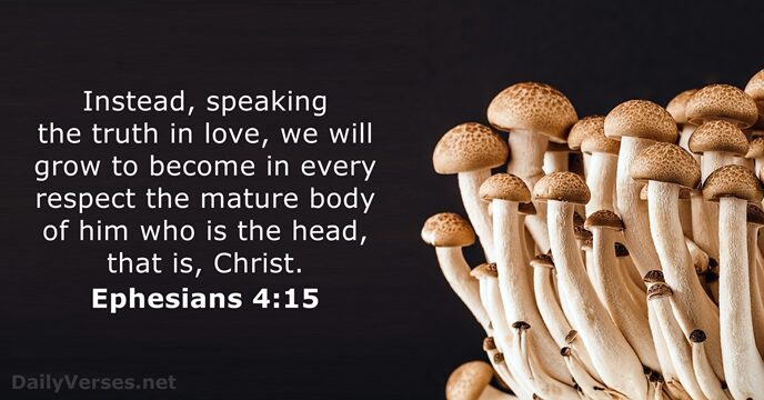 Instead, speaking the truth in love, we will grow to become in… Ephesians 4:15