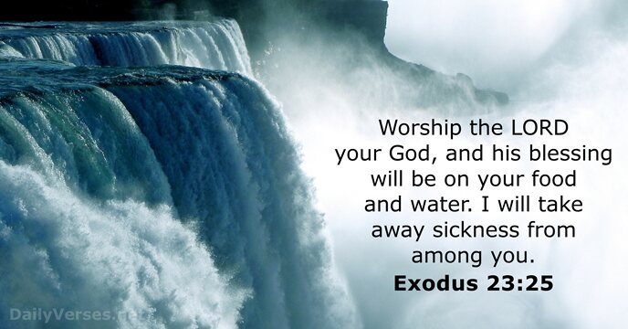 Worship the LORD your God, and his blessing will be on your… Exodus 23:25