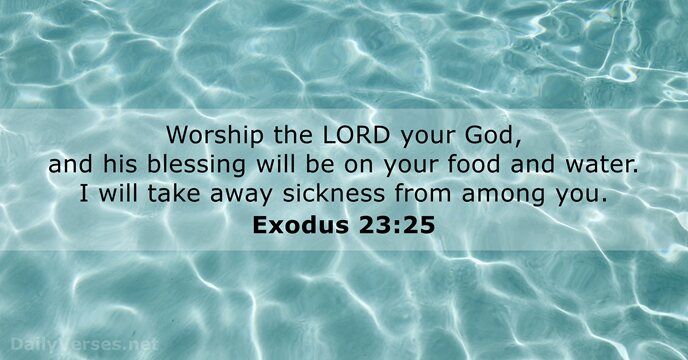 Worship the LORD your God, and his blessing will be on your… Exodus 23:25